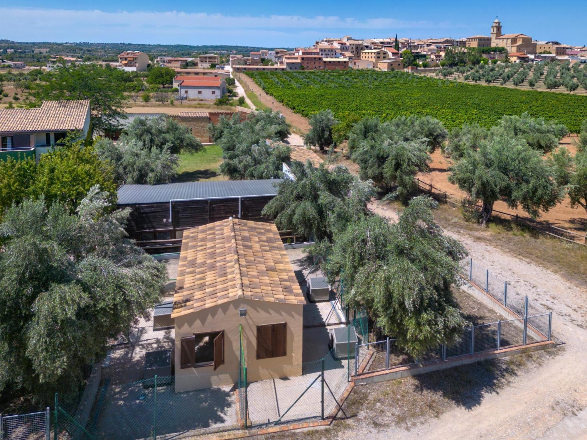 Hotel Vilar Rural D'Arnes By Serhs Hotels Sant Carles de la Ràpita Exterior photo